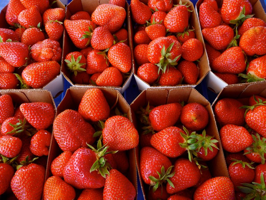 String Strawberries Long-term Strawberry Storage: Enjoy Your Favorite Fruit All Year Round