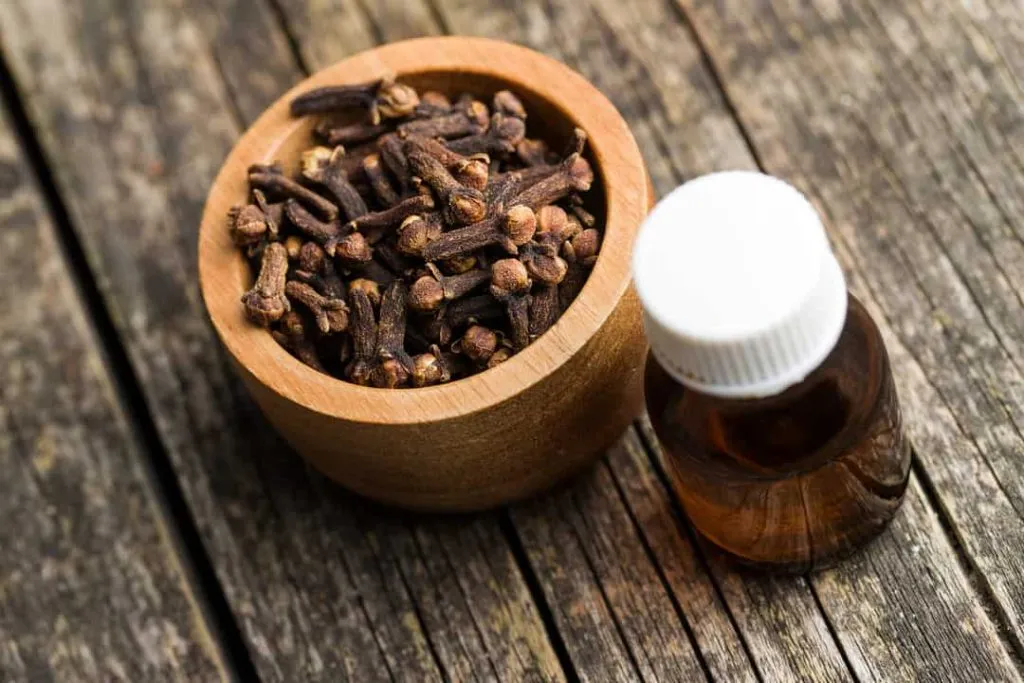 6 Effective Ways To Use Cloves To Keep Flies Away
