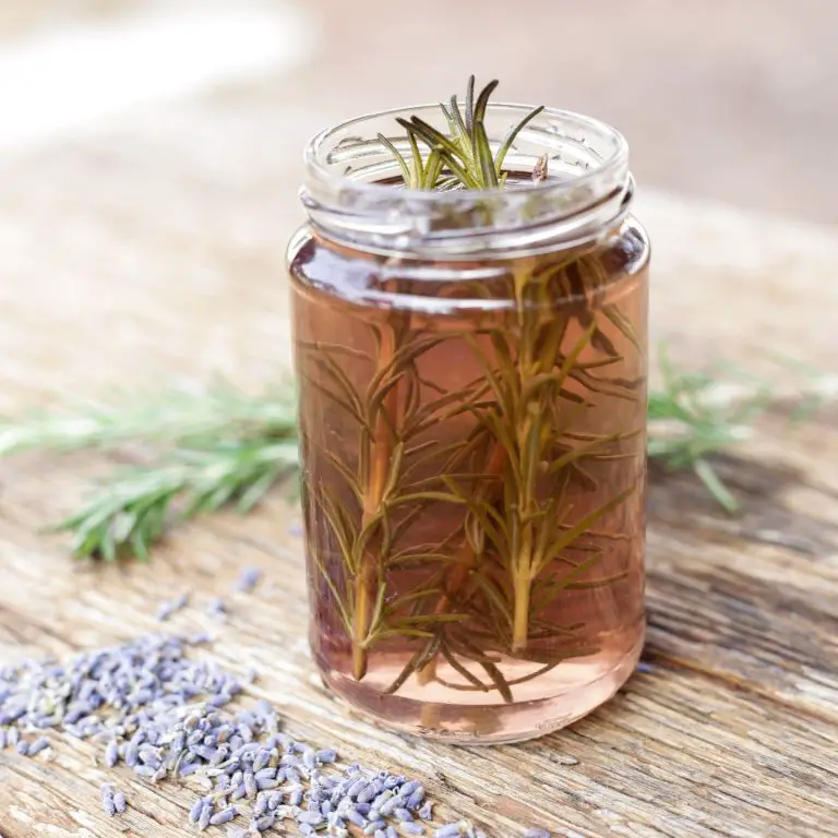 Boil Rosemary for 10 Minutes The Benefits and Impacts
