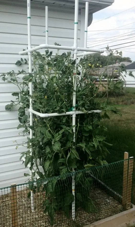 30 Creative DIY Garden Trellis Ideas For Vertical Gardening