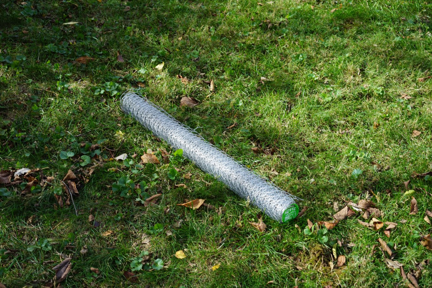 chicken wire to make leaf cage