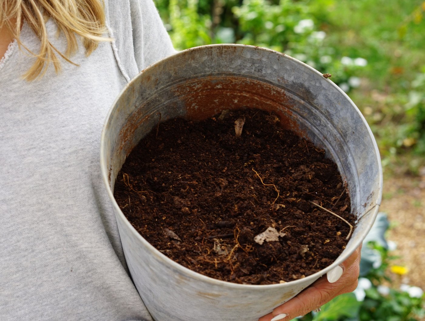 How Long Do Leaves Take to Break Down?