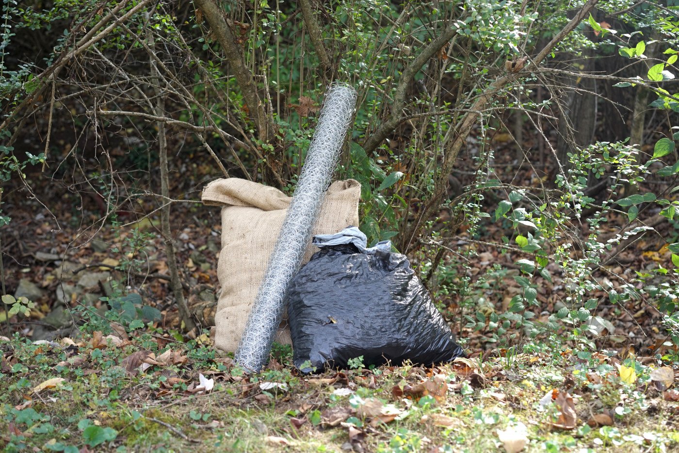 methods to make leaf mold compost