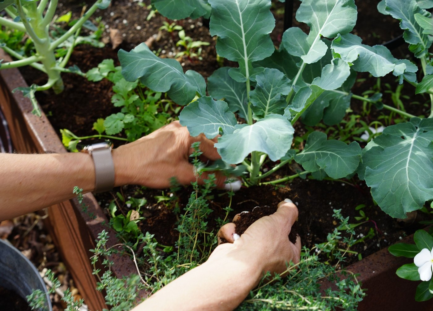 leaf compost benefits