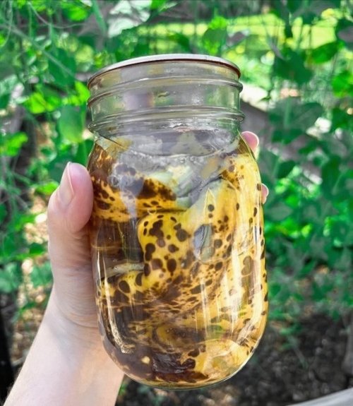 Banana peel water