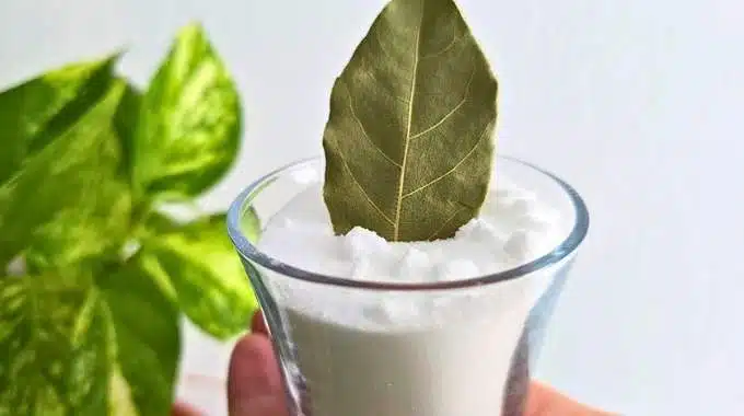 Bay leaves and baking soda for natural pest control