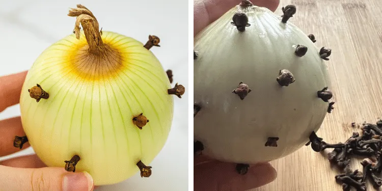 onion with cloves inserted
