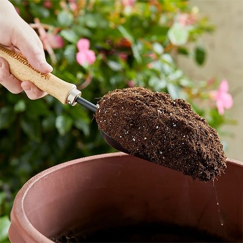 Potting mix for Christmas cactus