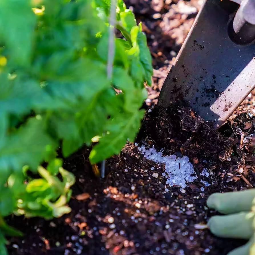 Epsom Salt Improves Soil Nutrients