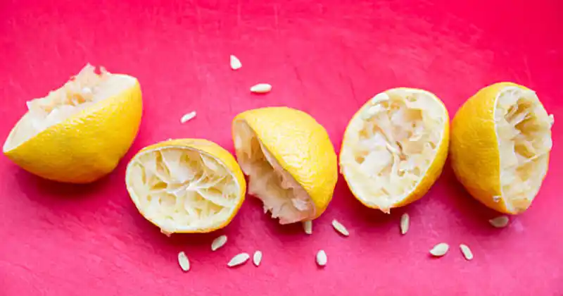Dried lemon seeds arranged on a wooden windowsill
