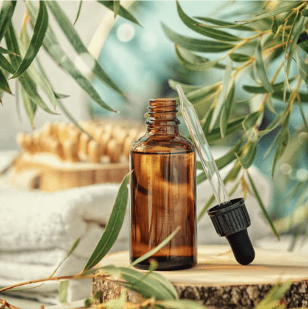 Essential oils as a natural bedbug repellent