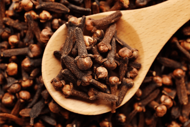 Cloves as a natural bedbug deterrent