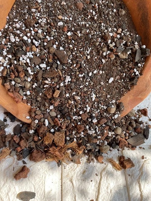 Well draining cactus soil mix
