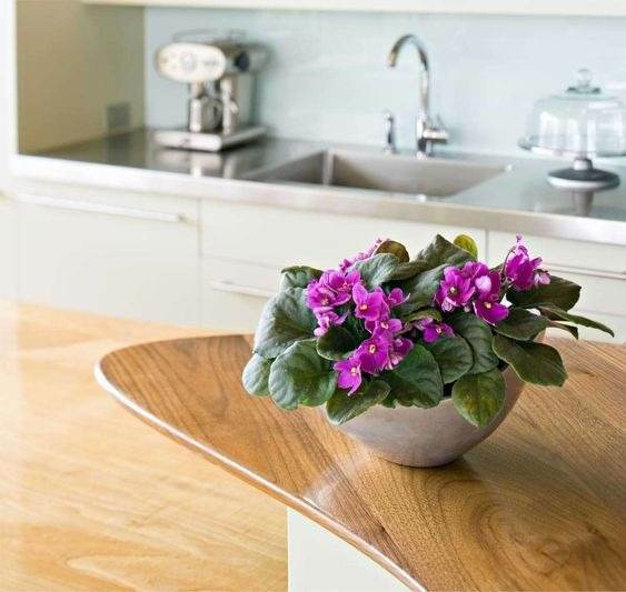 African violet soil mix