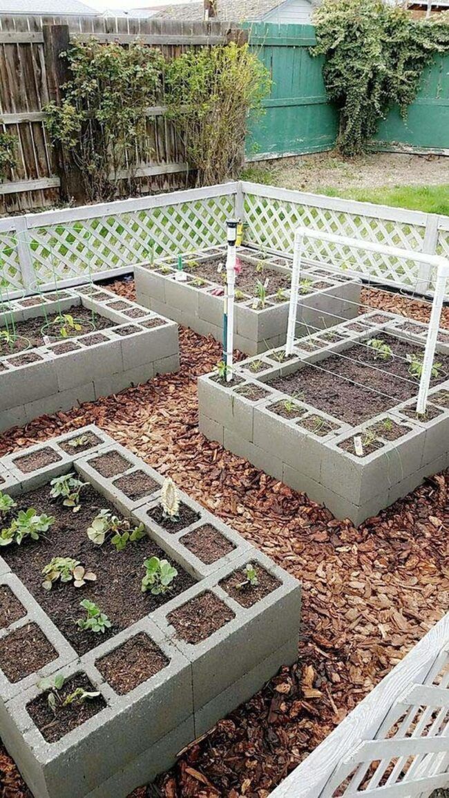 Modern concrete block raised beds surrounded by mulch