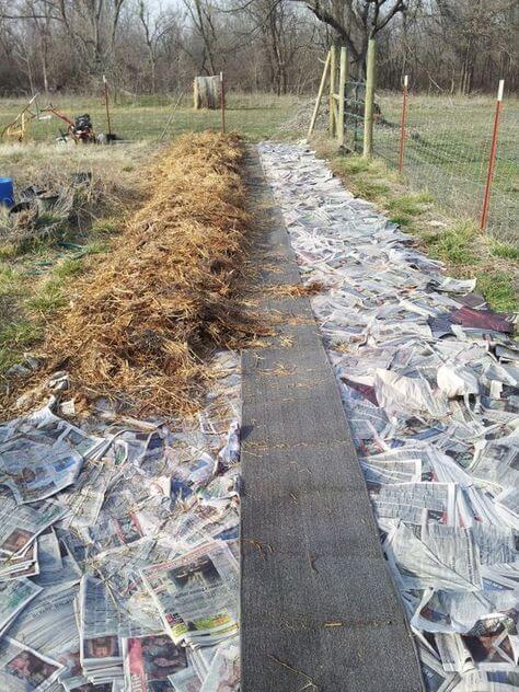 Newspaper weed barrier in garden
