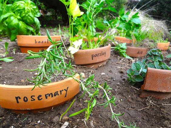 Plant markers made from broken pots