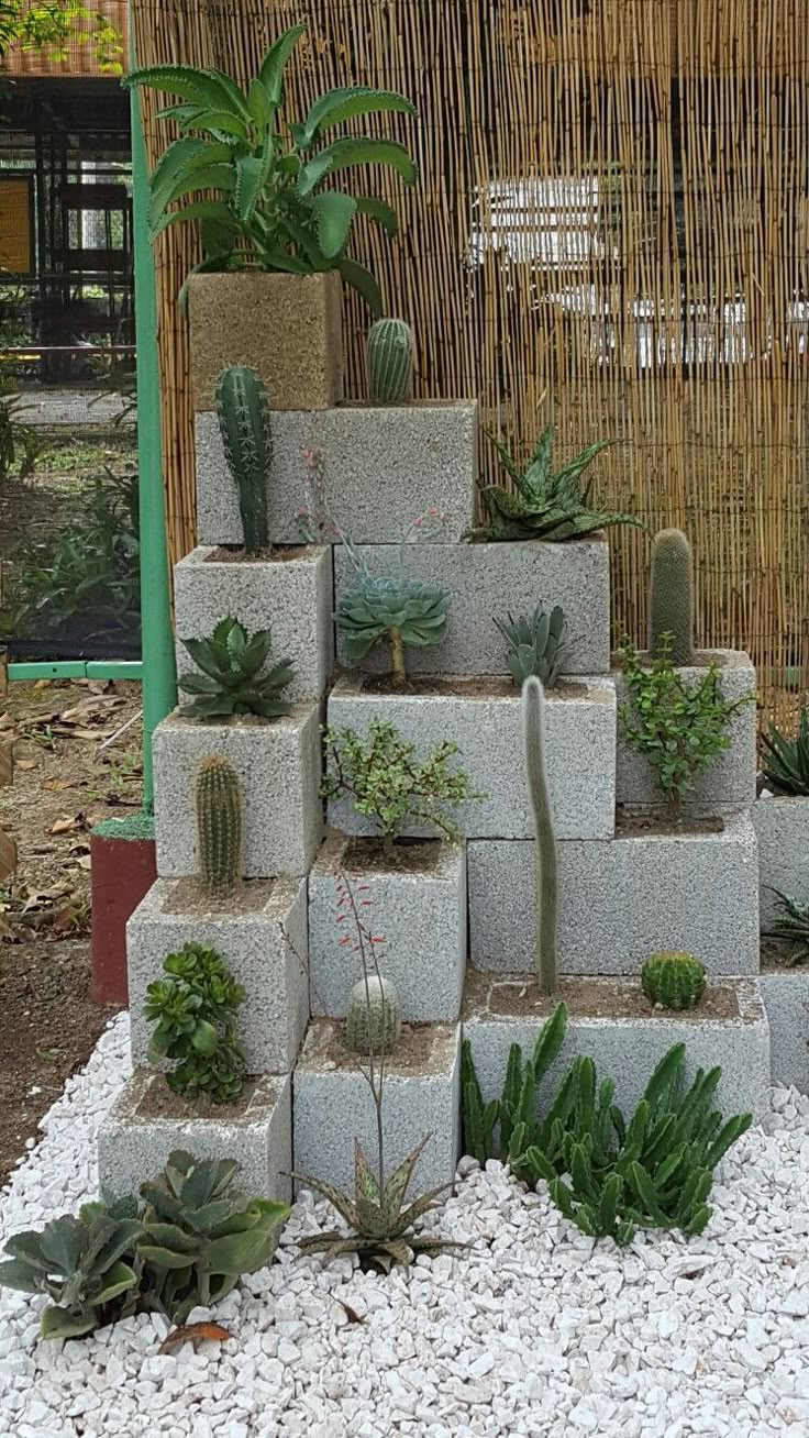 Tiered concrete block planter with succulents and cacti