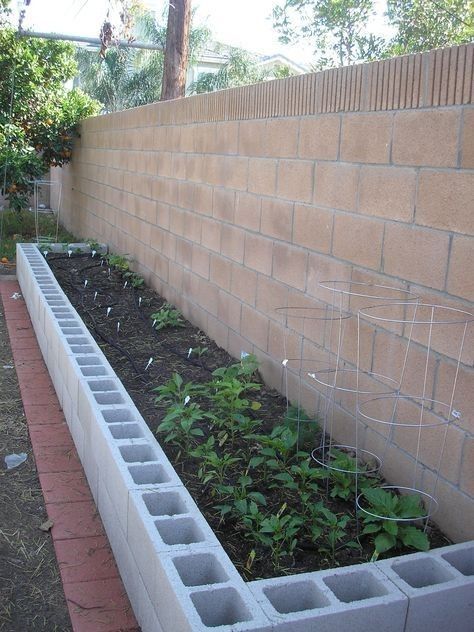 Concrete block garden bed placed along a wall