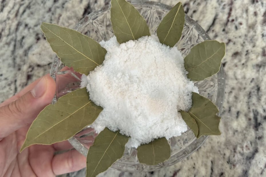 Bay leaves and salt