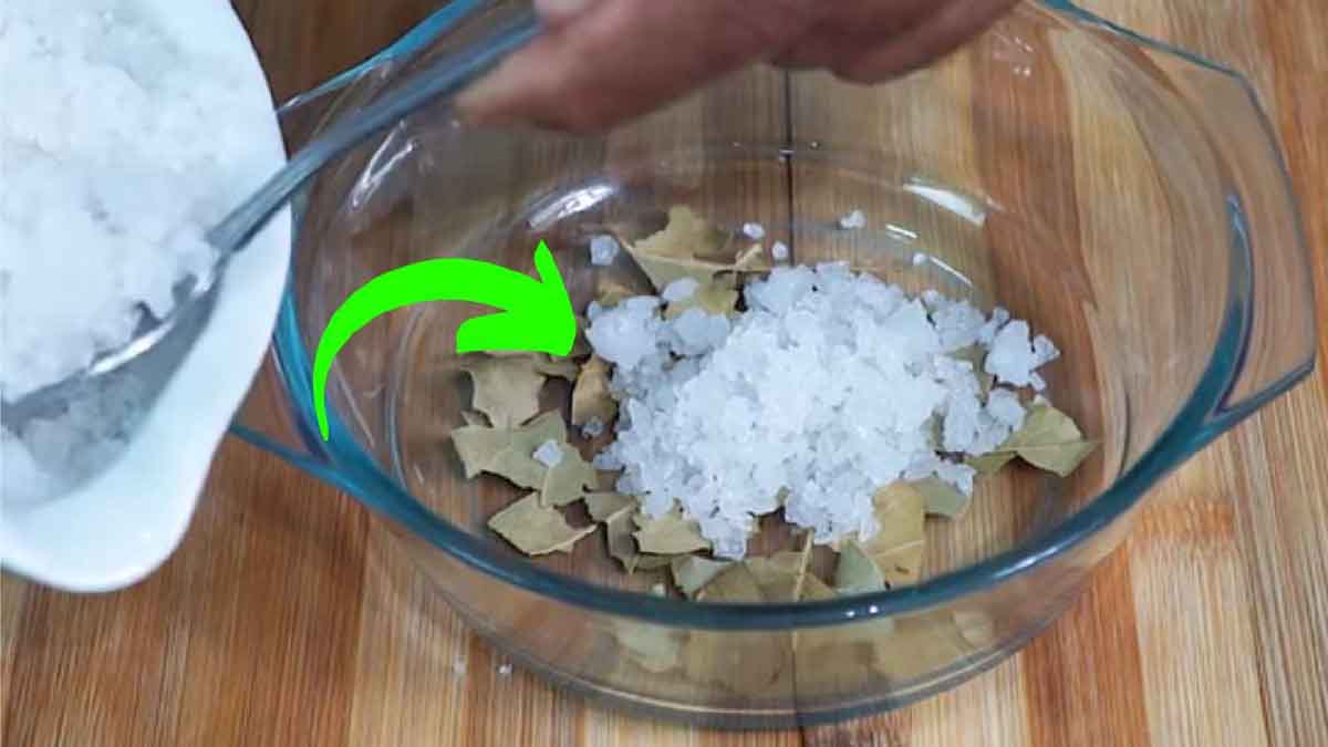 Bay leaf and salt in a home
