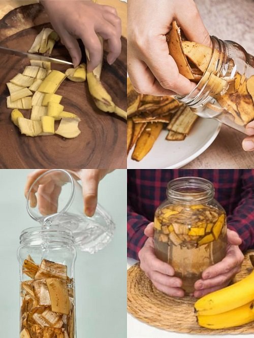 Making banana peel water fertilizer