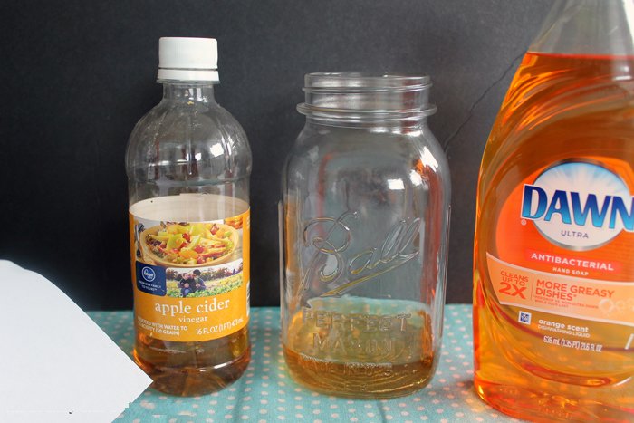 Homemade trap to capture fruit flies