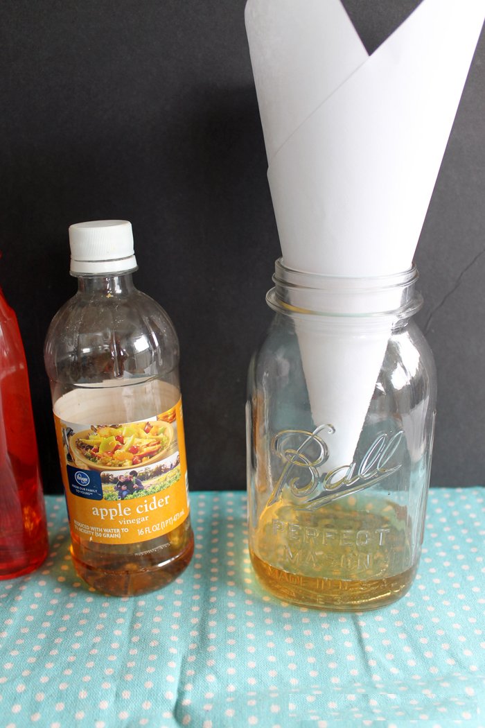 Result of an effective trap against fruit flies
