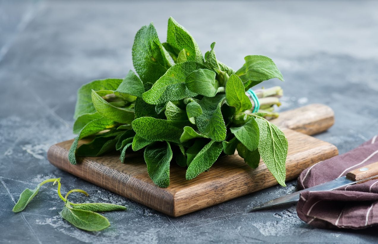 Sage infusion