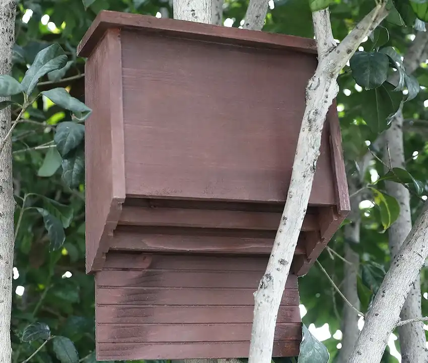 bat house attached to a tree