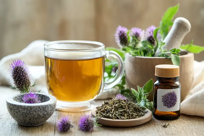 freshly prepared common thistle tea in a mug