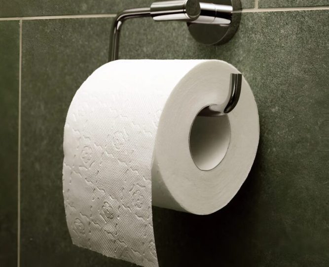 A surprising discovery inside a toilet paper roll: these little green balls have a surprising explanation