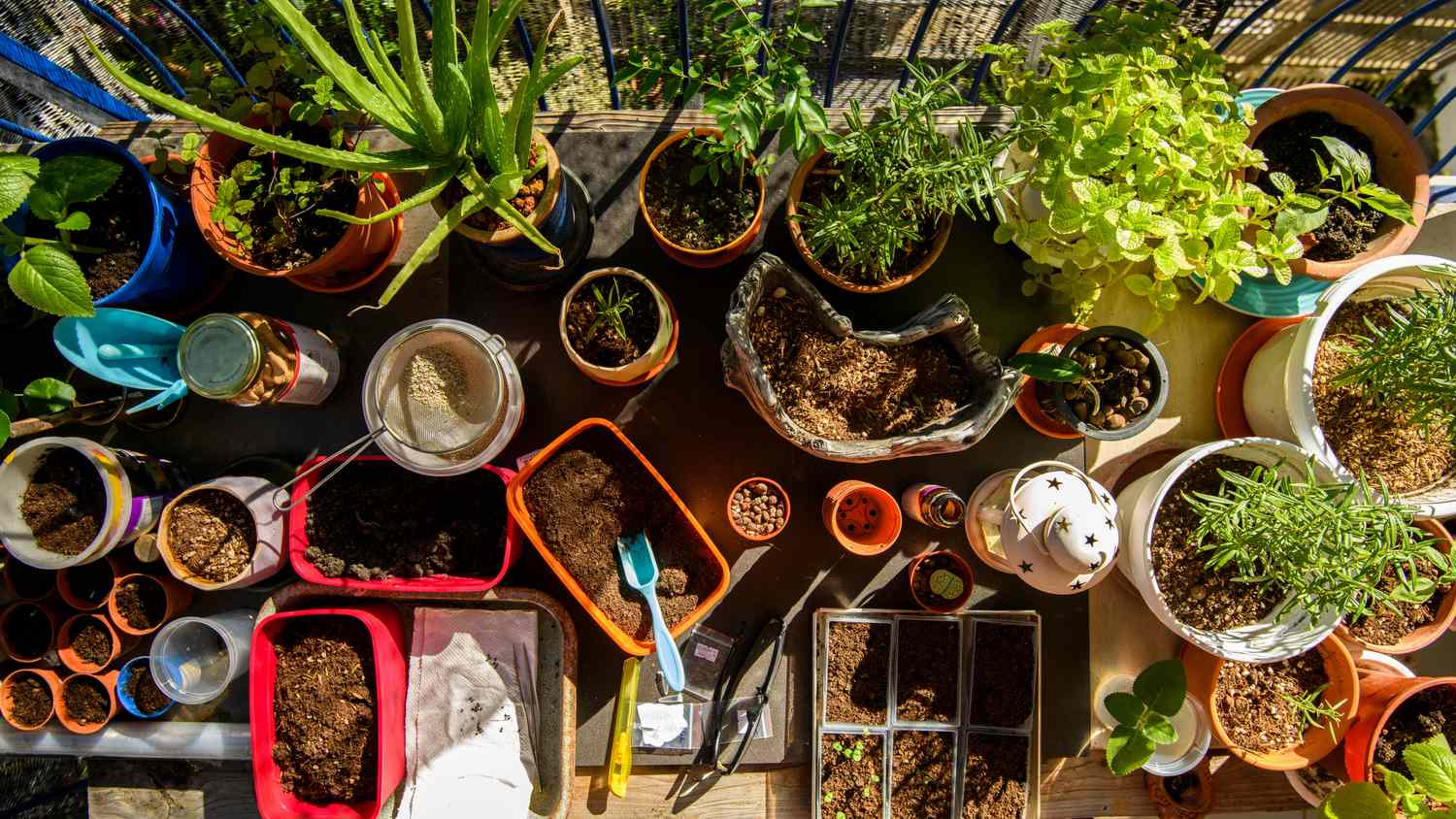 Potting soil and container gardens