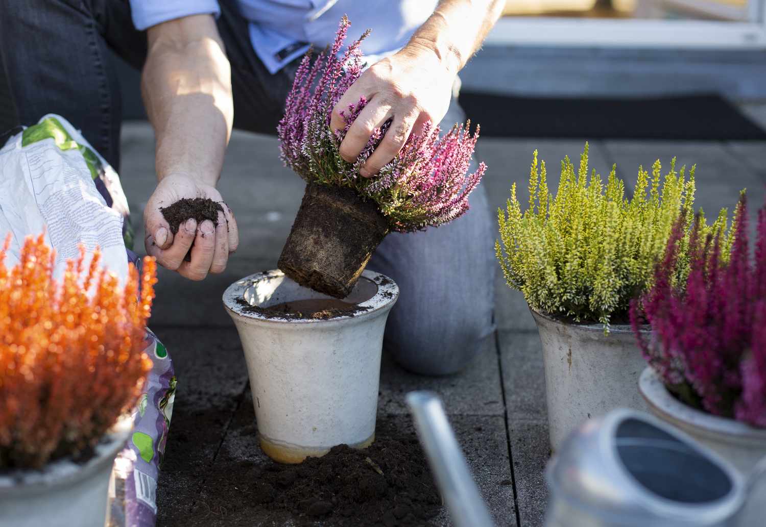 Planting a container garden