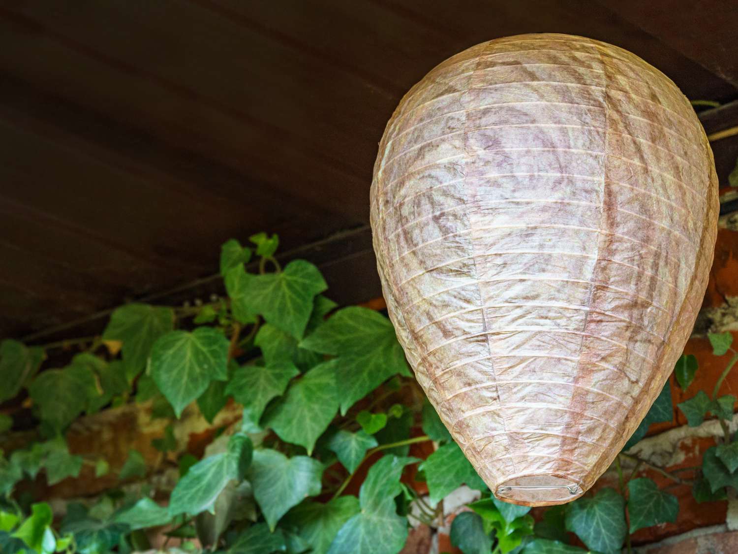 Fake wasp nest to deter them