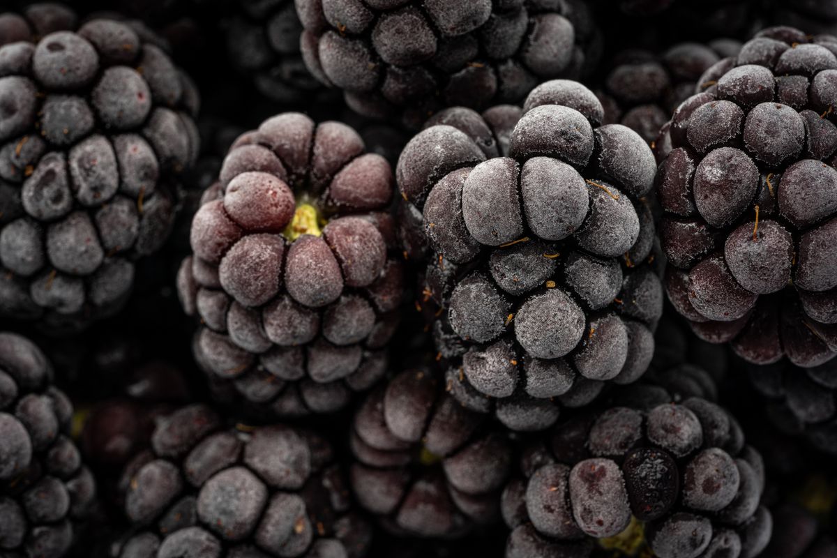 Frozen blackberries spread on a tray for storage