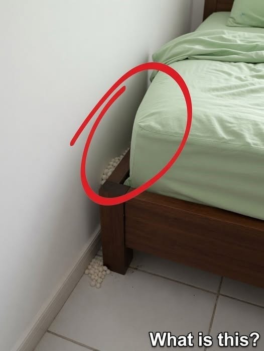 Small white spheres near the bed