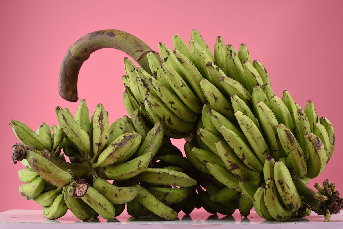 A bunch of bananas at different stages of ripeness