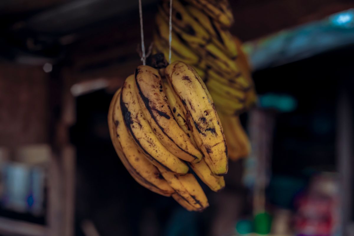 A ripe yellow banana next to a bowl of oatmeal