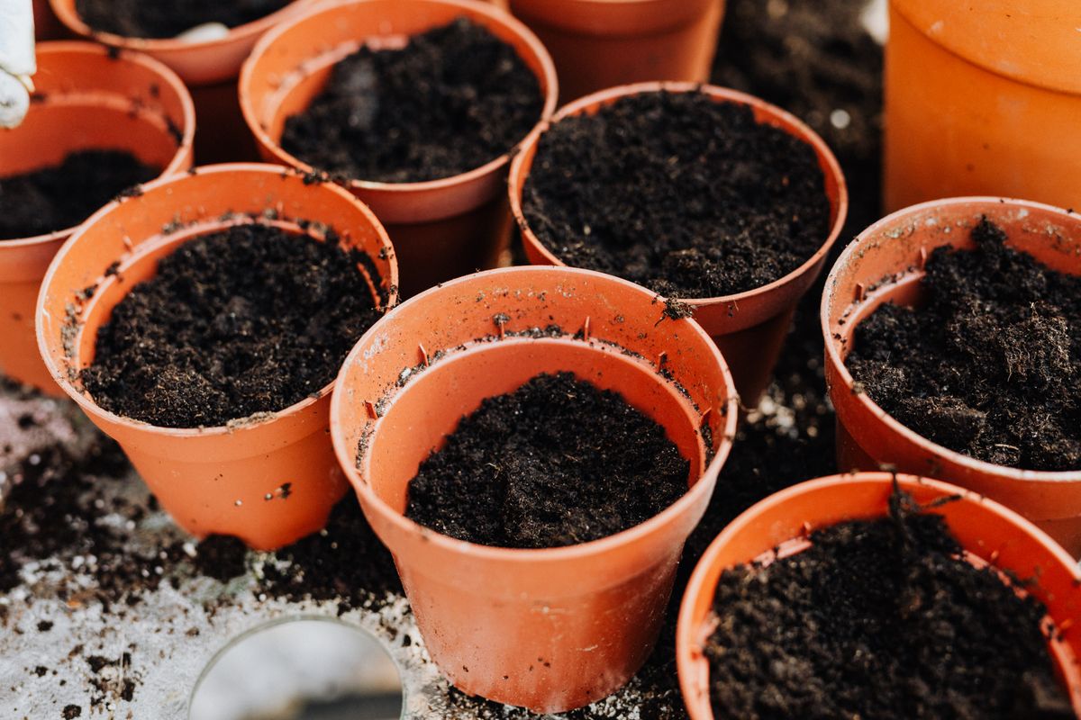 Large garden containers ready for planting vegetables