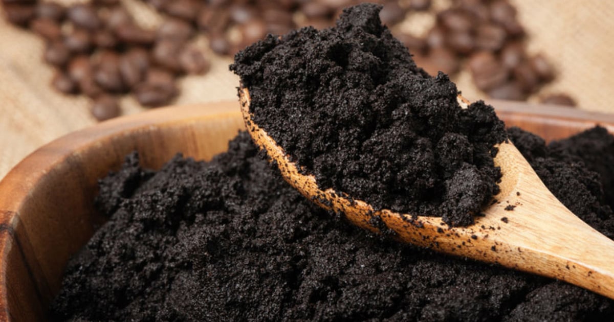 Preparation of natural fertilizer with coffee grounds