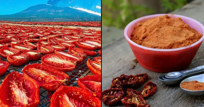 Preparation of tomato powder