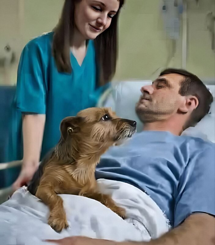 Dog Milo next to Lucas in the hospital