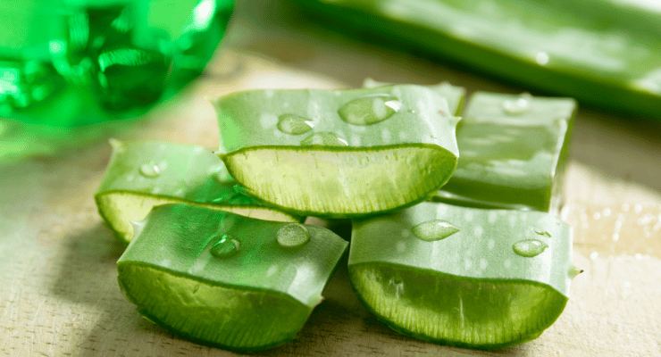 Aloe vera leaf