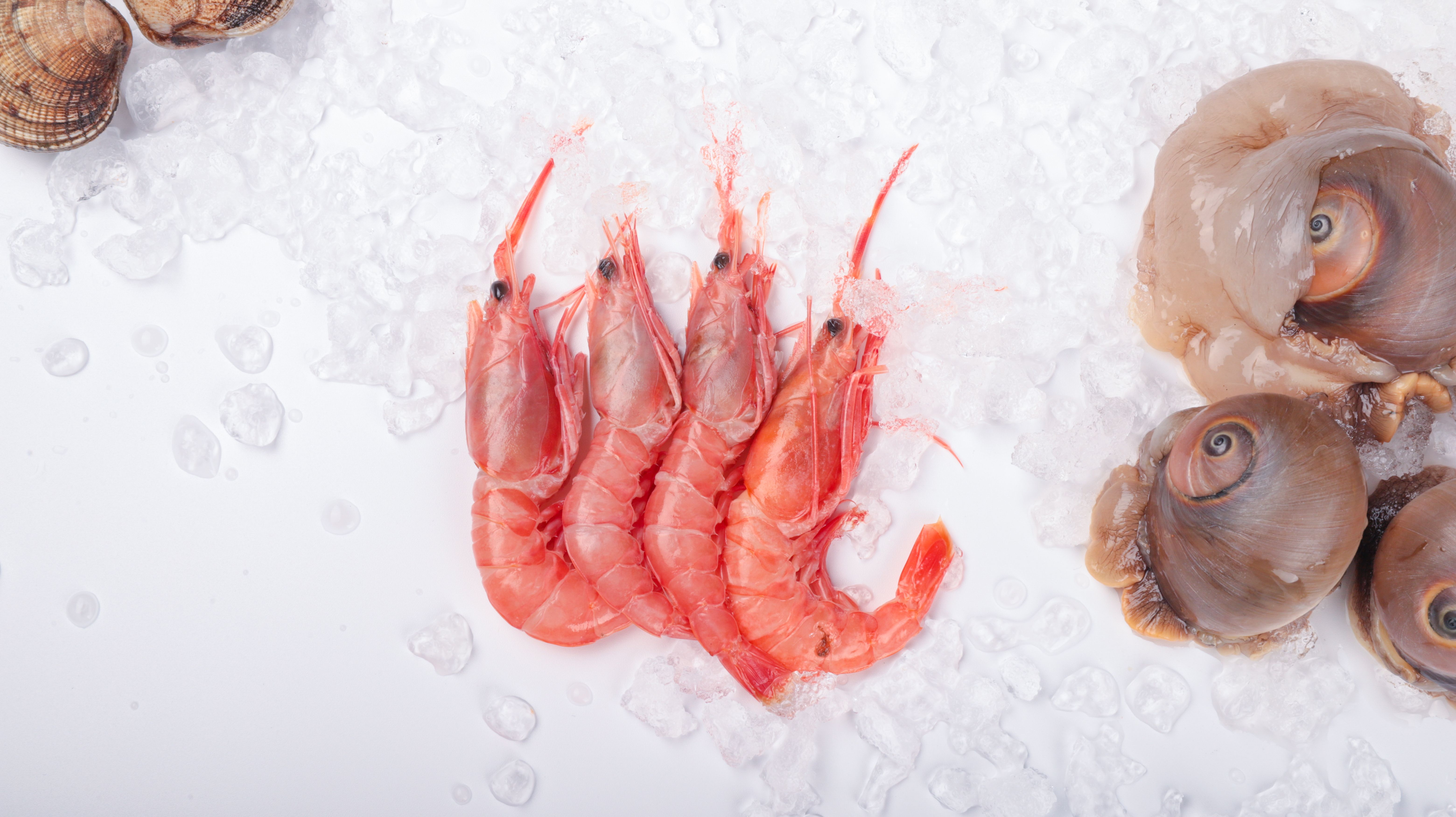 Frozen shrimp in ice