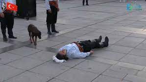 Dog showing compassion on stage