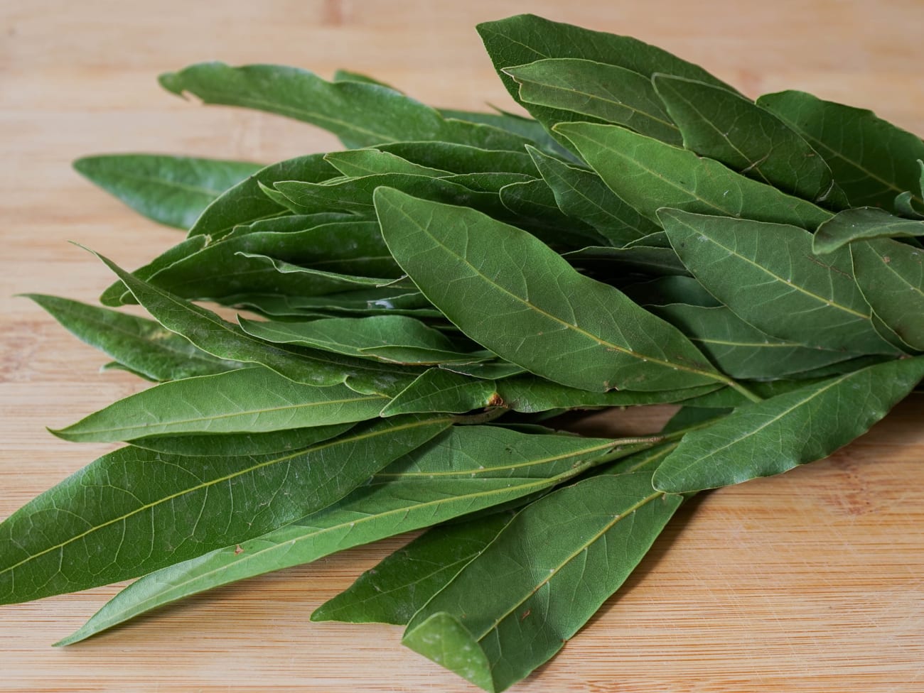 Bay Laurel Leaves