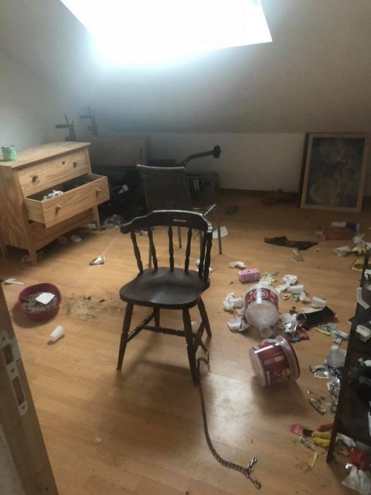 Interior of house in disorder