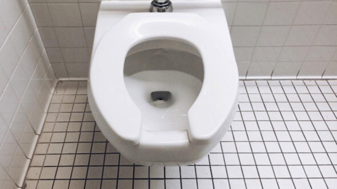 Scientific study on contamination of surfaces in public restrooms