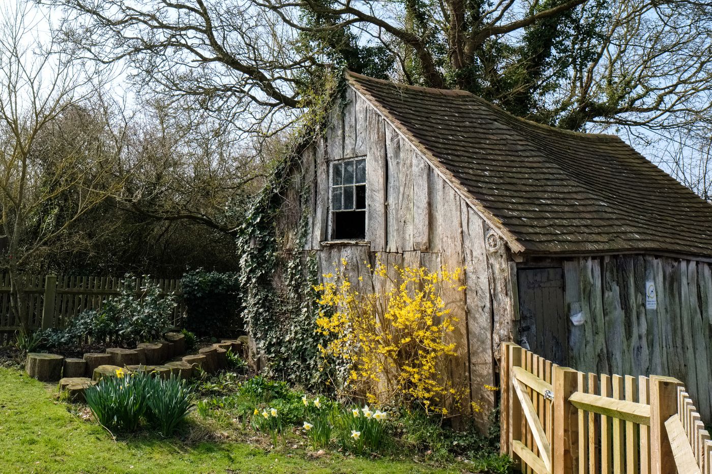Old Wooden Shed